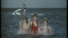 poster-26162-danette-on-se-leve-tous-236x132