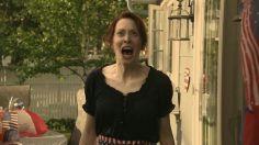 poster-26222-terminix-mosquitonado-236x132