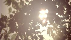 poster-26262-kia-karnival-suncream-236x132