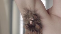 poster-26278-narta-homme-peau-parfaite-236x132