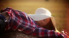 poster-26317-lenor-wonderful-shirt-236x132