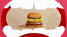poster-26322-burger-king-mcwhopper-236x132