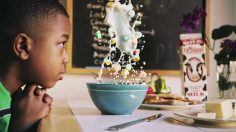 poster-26334-raising-dion-raising-dion-236x132