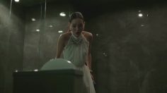 poster-26356-homepro-flush-236x132