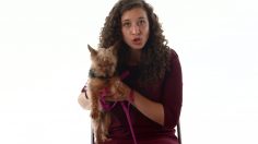 poster-26403-rescue-dogs-rock-protection-animaux-dogs-don-t-cheat-adopt-a-life-partner-236x132