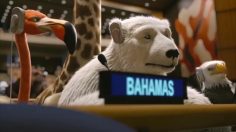 poster-26424-united-nations-project-everyone-236x132