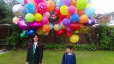 poster-26446-direct-line-insurance-balloons-236x132