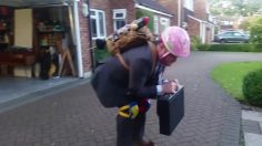 poster-26447-direct-line-insurance-skates-236x132