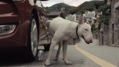 poster-26454-ministry-of-environment-south-korea-protection-environnement-i-am-your-father-2-236x132