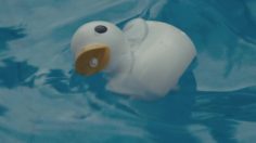 poster-26455-ministry-of-environment-south-korea-protection-environnement-i-am-your-father-1-236x132