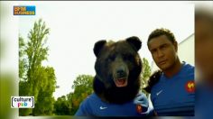 poster-26488-les-rugbymen-nouvelle-icone-de-la-publicite-2015-10-17-236x132