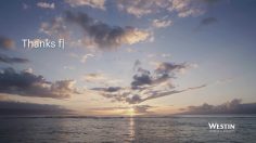 poster-26496-westin-my-ooo-message-236x132