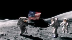 poster-26508-cinesite-beans-236x132