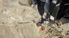 poster-26532-letgo-cliff-236x132