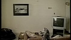 poster-26558-nokia-3650-cat-236x132