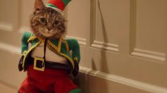 poster-26585-temptations-say-sorry-for-the-holidays-236x132