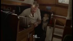 poster-26599-nz-lotteries-lotto-lucky-dog-236x132