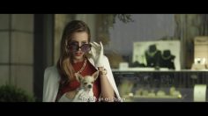 poster-26709-dacia-duster-another-one-drives-a-duster-236x132