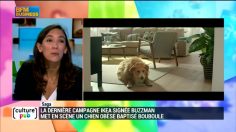 poster-26713-ikea-2015-12-12-236x132