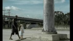 poster-26779-twin-lotus-dentifrice-black-man-236x132