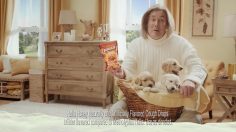 poster-26790-halls-tough-love-soft-love-236x132