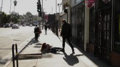 poster-26798-peta-protection-animaux-woman-beaten-up-for-her-wool-sweater-236x132