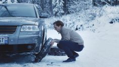 poster-26824-mcdonald-s-american-winter-l-ours-236x132