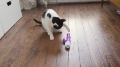 poster-26842-art-directors-club-adc-adc-95th-annual-awards-sex-toy-236x132