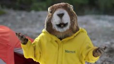 Marmot-culturepub-236x132
