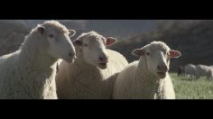 poster-26849-honda-ridgeline-a-new-truck-to-love-236x132