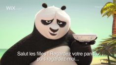 poster-26876-wix-com-kung-fu-panda-236x132