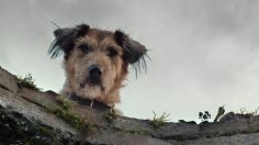 poster-26929-gamestore-well-236x132