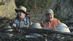 poster-26978-geico-hike-extended-version-236x132