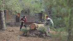 poster-26980-geico-forest-fast-forward-236x132