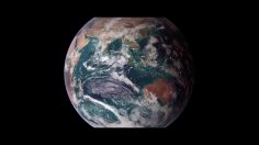 poster-26994-wwf-the-future-starts-today-236x132