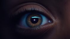 61026_preview-236x132