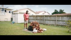 poster-27114-speight-s-wewill-co-nz-the-unfinished-projects-236x132