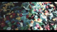 poster-27225-sea-shepherd-protection-environnement-sea-shepherd-did-to-a-swimming-pool-what-humans-do-to-the-oceans-236x132