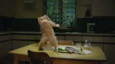 poster-27228-mountain-dew-kickstart-freak-chain-reverse-236x132