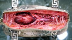 61113_preview-236x132