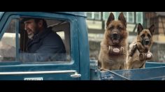 poster-27238-kronenbourg-1664-biere-the-alsace-tians-236x132