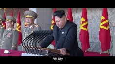 poster-27249-reporters-sans-frontiere-rsf-singing-dictators-236x132