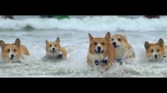 poster-27287-mars-believe-236x132