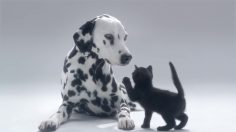 poster-27312-la-roche-posay-anti-cancer-de-la-peau-deviens-skin-checker-2-236x132