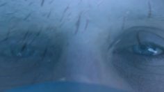 poster-27320-tribord-easybreath-236x132