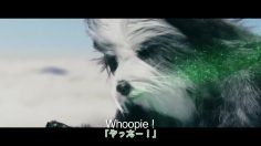 61155_004_preview-236x132