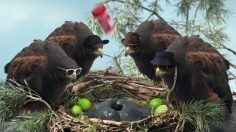 poster-27339-old-spice-horrifying-mutant-nightmare-abomination-236x132