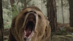 poster-27342-old-spice-roar-236x132