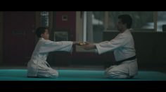 poster-27375-american-family-insurance-dad-insurance-for-fearless-dreams-236x132