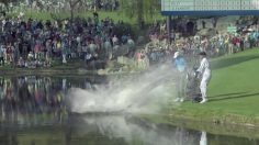 poster-27397-geico-kraken-it-s-what-you-do-236x132